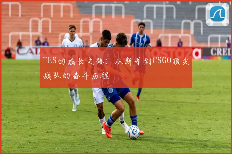TES的成长之路：从新手到CSGO顶尖战队的奋斗历程